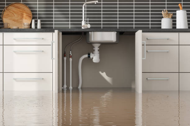 Reliable Clifton Forge, VA Water damage restoration Solutions